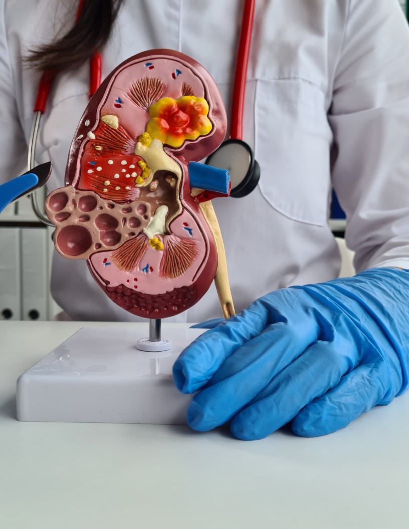 Global Tumor Ablation Market 2024-2028