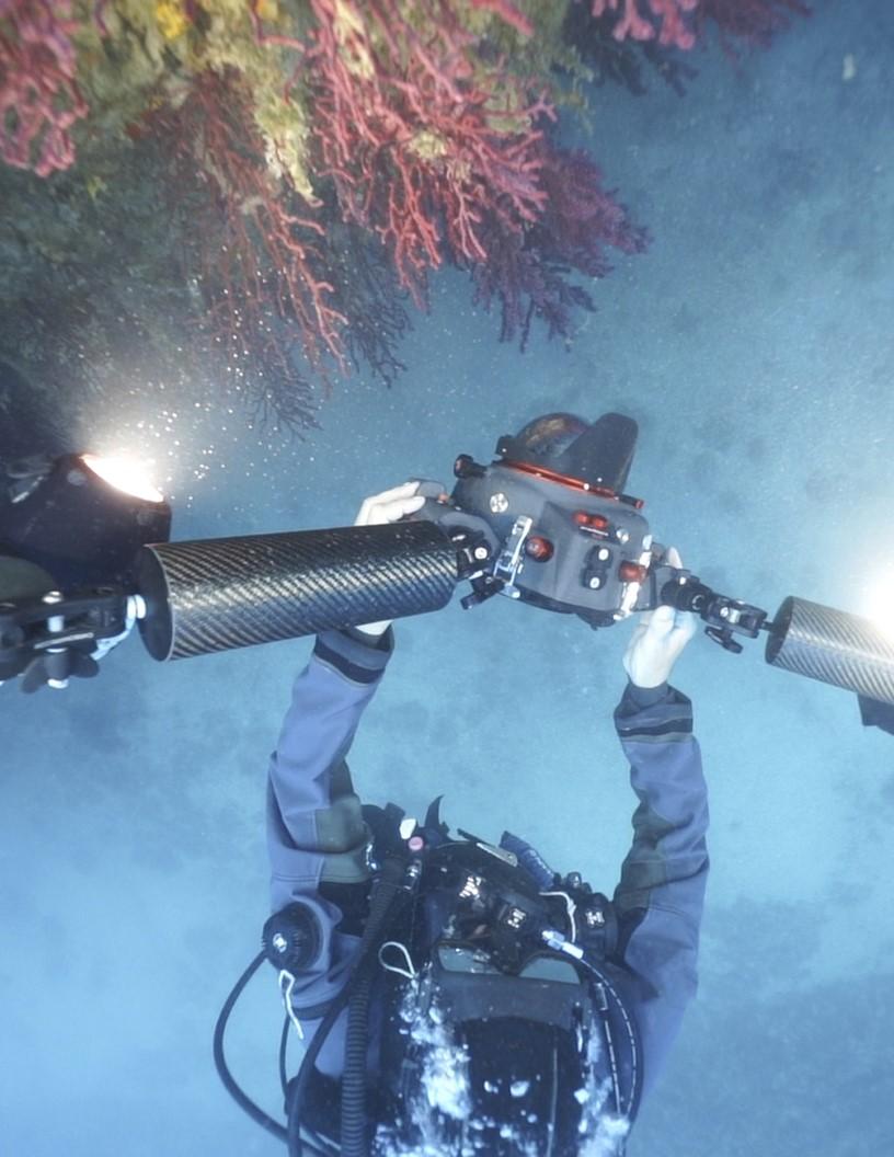 Global Marine Robots Market 2024-2028