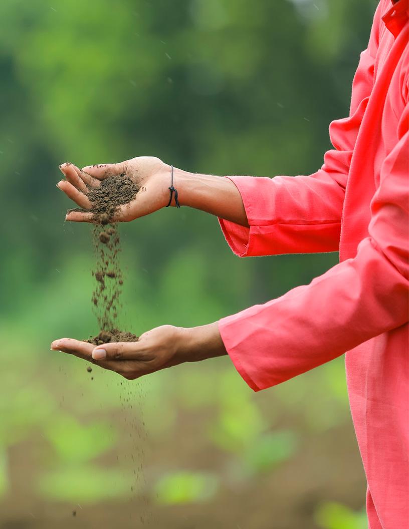 Global Oil Pollution Soil Treatment Market 2024-2028