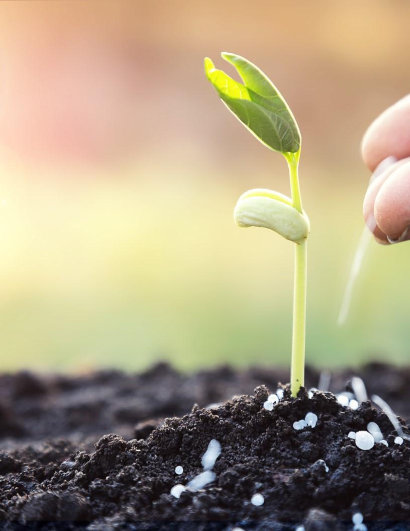 Urea Market in Singapore 2025-2029
