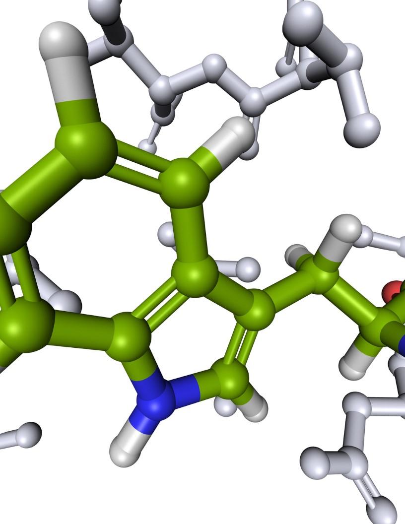 Global Peptide Synthesis Market 2025-2029