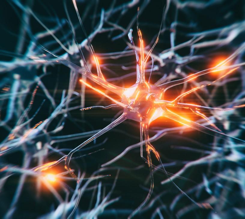 Global AI In Pathology Market 2025-2029