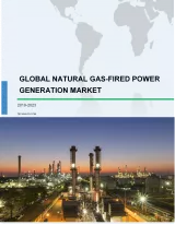 Natural Gas-Fired Power Generation Market by Type and Geography - Global Forecast and Analysis 2019-2023