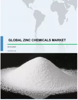 Global Zinc Chemicals Market 2019-2023
