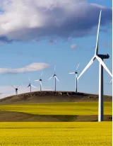 Wind Turbine Monitoring Systems Market by Application and Geography - Forecast and Analysis 2021-2025