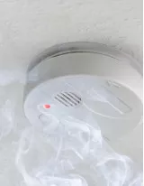 Residential Smart Smoke Detectors Market by Type and Geography - Forecast and Analysis 2021-2025