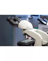 Microscopy Devices Market by Product, Application, and Geography - Forecast and Analysis 2020-2024