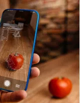 Mobile Augmented Reality Market Growth, Size, Trends, Analysis Report by Type, Application, Region and Segment Forecast 2022-2026