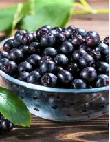 Aronia Berries Market by Source, Distribution Channel, and Geography - Forecast and Analysis 2023-2027