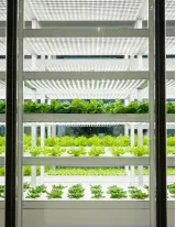 Ventilation and Air Conditioning Market for Indoor Agriculture by Product, Type, and Geography - Forecast and Analysis 2021-2026
