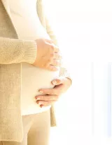Maternity Wear Market Growth, Size, Trends, Analysis Report by Type, Application, Region and Segment Forecast 2021-2025