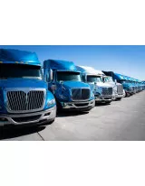 Third-Party Logistics (3PL) Market in Brazil by End-user and Service - Forecast and Analysis 2021-2025