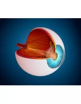 Age-related Macular Degeneration Market by Type and Geography - Forecast and Analysis 2021-2025