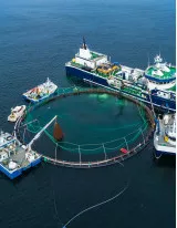 Aquaculture Cages Market by Environment and Geography - Forecast and Analysis 2022-2026