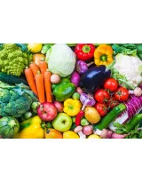 Prebiotic Ingredient Market by Application and Geography - Forecast and Analysis 2021-2025