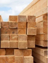 Engineered Wood Products Market by Type and Geography - Forecast and Analysis 2021-2025