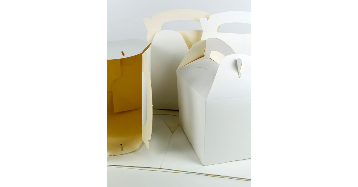 Folding Carton Market Size Share Growth Trends Industry Analysis   IRTNTR70898 61166d4f43dc7 1200x627 