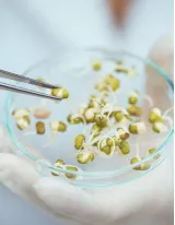 Genetically Modified Seeds Market by Product and Geography - Forecast and Analysis 2021-2025