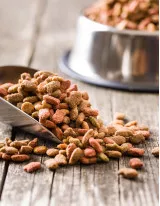 Frozen and Freeze Dried Pet Food Market by Distribution Channel, Animal Type, and Geography - Forecast and Analysis 2023-2027