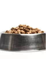 Dog Food Market by Product, Distribution Channel, and Geography - Forecast and Analysis 2023-2027