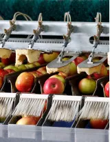 Fruit Processing Equipment Market by Application and Geography - Forecast and Analysis 2021-2025