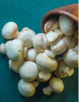 Mushroom Market by Product and Geography - Forecast and Analysis 2021-2025