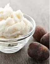 Shea Butter Market by Application and Geography - Forecast and Analysis 2021-2025