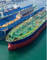 Dry Bulk Shipping Market by Type and Geography - Forecast and Analysis 2022-2026