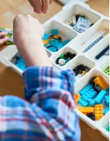 Construction Toys Market Growth, Size, Trends, Analysis Report by Distribution Channel and Region Forecast 2022-2026
