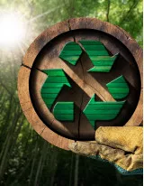 Wood Recycling Market by Material and Geography - Forecast and Analysis 2021-2025