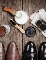 Shoe Care Products Market Growth, Size, Trends, Analysis Report by Type, Application, Region and Segment Forecast 2022-2026