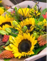 Sunflower Market by Type and Geography - Forecast and Analysis 2022-2026