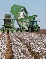 Cotton Harvester Market by Product and Geography - Forecast and Analysis 2022-2026