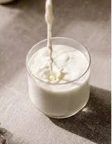 Donkey Milk Market Growth, Size, Trends, Analysis Report by Type, Application, Region and Segment Forecast 2022-2026