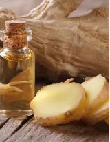 Ginger Oil Market by Type and Geography - Forecast and Analysis 2022-2026