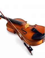Viola Market by End-user and Geography - Forecast and Analysis 2022-2026