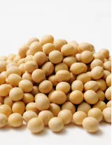 Organic Soy Protein Market by Type and Geography - Forecast and Analysis 2022-2026