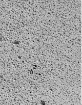 Autoclaved Aerated Concrete (AAC) Market by End-user, Product and Geography - Forecast and Analysis 2022-2026