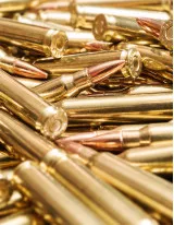 Ammunition Market by Product and Geography - Forecast and Analysis 2022-2026