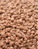 Compound Feed Market in Mexico by Product - Forecast and Analysis 2022-2026