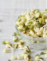 Packaged Sprouts Market Research Report, Size , Growth, Trends, Opportunity Analysis, Industry Forecast - 2022-2026