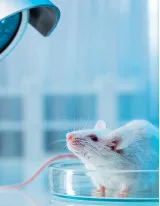 Animal Genetics Market by Solution, End-user and Geography - Forecast and Analysis 2023-2027