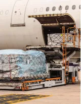 Air Freight Services Market by End-users and Geography - Forecast and Analysis 2022-2026