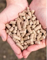 Animal Feed Market by Animal Type and Geography - Forecast and Analysis 2022-2026