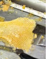 Beeswax Market by Product and Geography - Forecast and Analysis 2020-2024