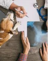 Veterinary Diagnostic Devices Market by Type and Geography - Forecast and Analysis 2020-2024