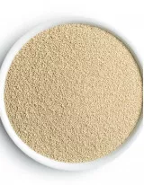Feed Yeast Market by Product and Geography - Forecast and Analysis 2021-2025