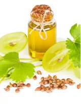 Grape Seed Oil Market by Type and Geography - Forecast and Analysis 2021-2025