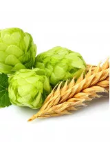 Hops Market by Type and Geography - Forecast and Analysis 2020-2024