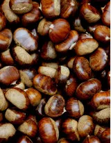 Chestnuts Market by Type and Geography - Forecast and Analysis 2020-2024